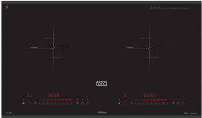 BẾP TỪ ĐÔI F10